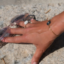 Bransoletka na łańcuszku z granatowym dekorem. BLUE