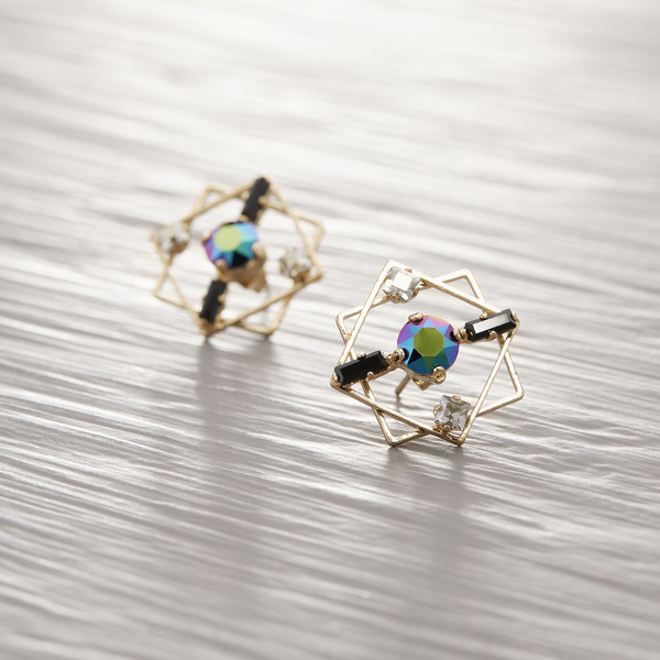 Earrings. The nature of a scarab.